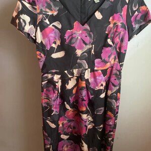 Banan Republic Dress